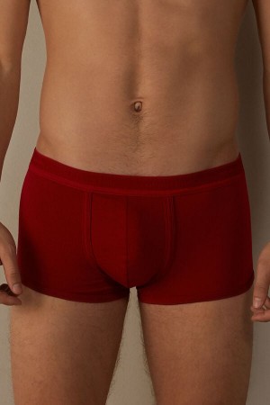 Intimissimi Stretch Supima® Cotton Shorts with Logo Detail Muške Boxer Crvene Crvene | HR 2610WYN