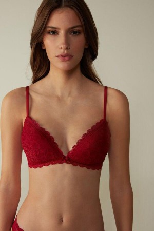 Intimissimi Tiziana Triangle in Lace Ženske Grudnjaci Crvene | HR 1399BCP