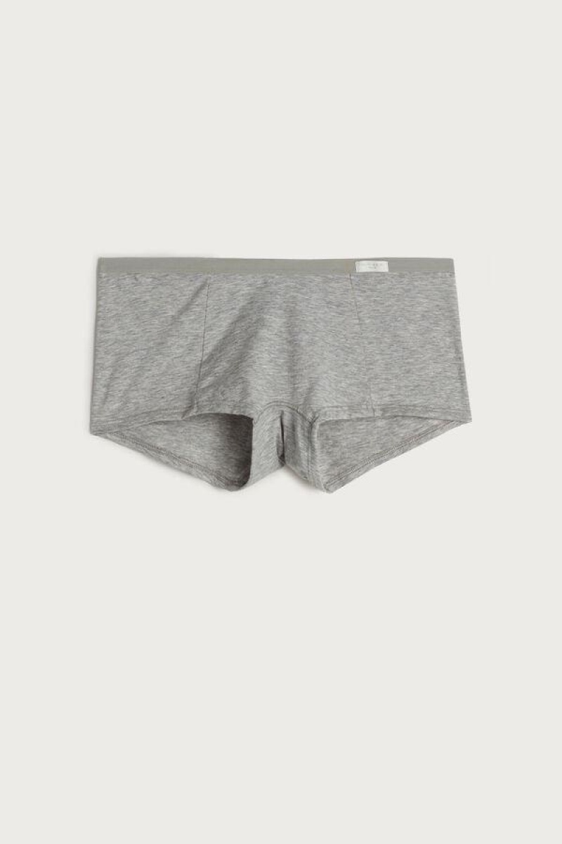 Intimissimi Cotton Boyshorts Ženske Gaćice Svijetlo Sive | HR 2338FMD