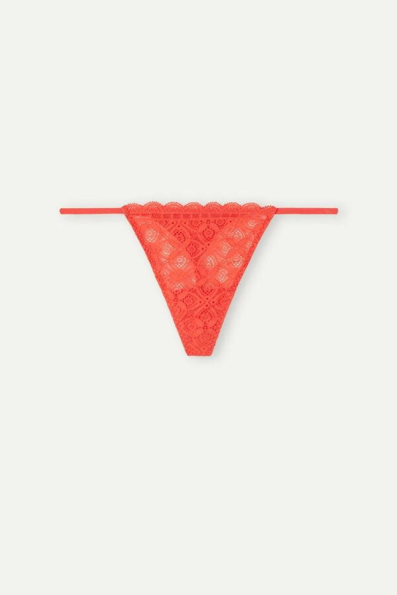 Intimissimi Lace String Thong Ženske Gaćice Tamno Crvene | HR 2251KIR