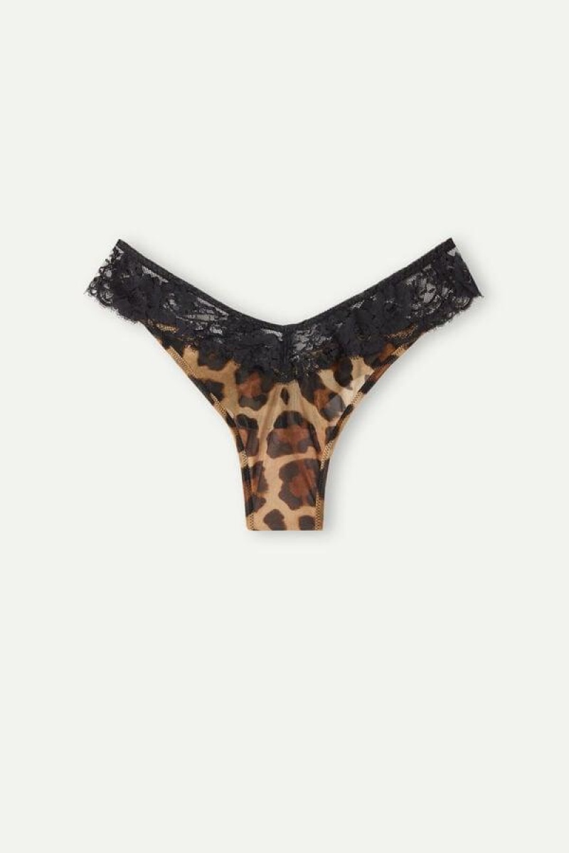 Intimissimi Lady Animalier ‘80s Stil Brazilian Ženske Gaćice Smeđe | HR 2502YUX