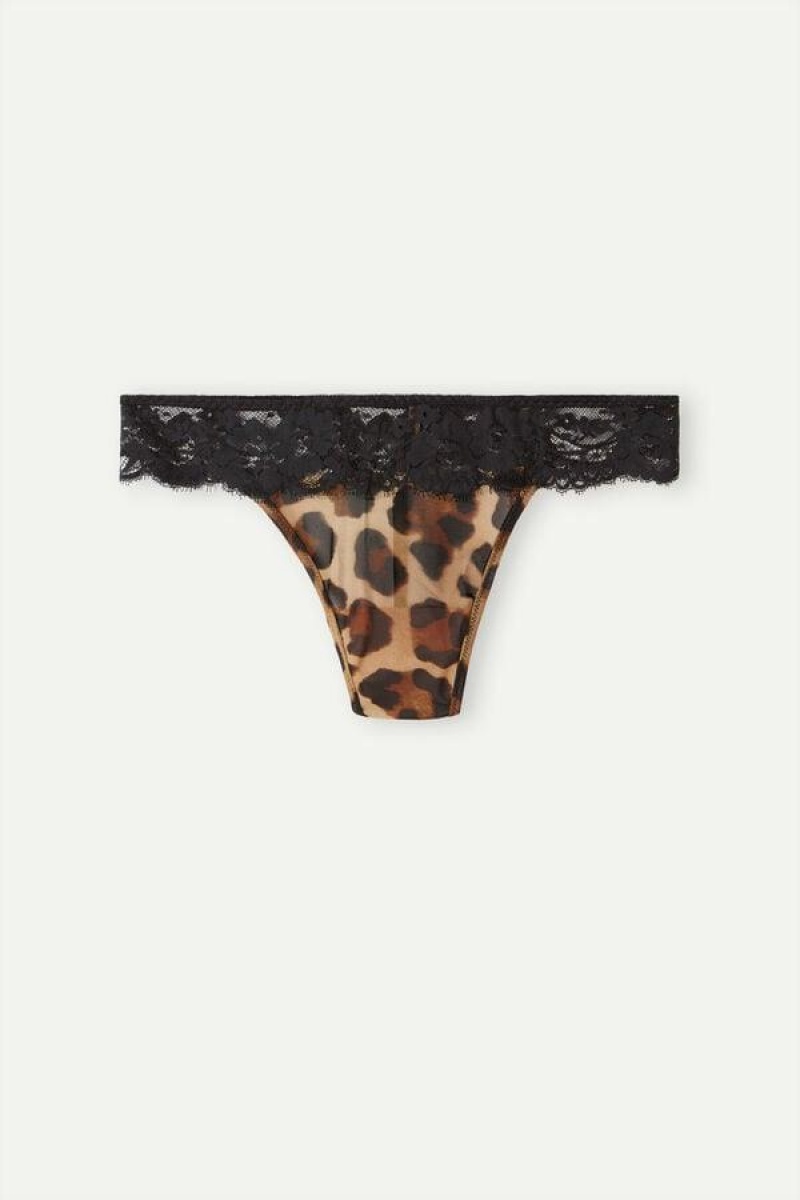 Intimissimi Lady Animalier Thong Ženske Gaćice Smeđe | HR 2265YUK