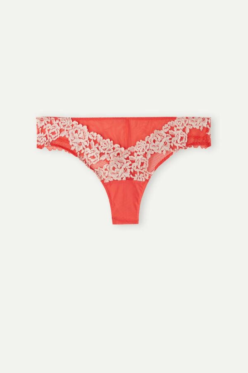 Intimissimi Pretty Flowers Brazilian Ženske Gaćice Tamno Crvene Bijele | HR 2468FMD