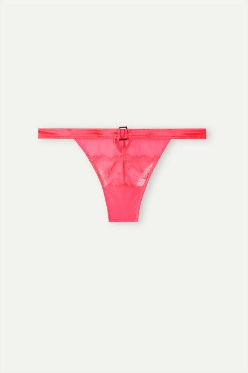 Intimissimi Pure Joy Brazilian Ženske Gaćice Roze | HR 2466HKA