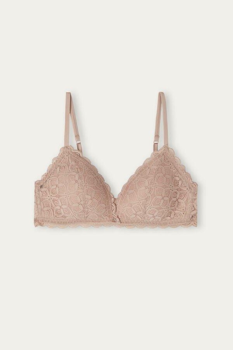 Intimissimi Tiziana Triangle in Lace Ženske Grudnjaci Bež | HR 1175ISZ