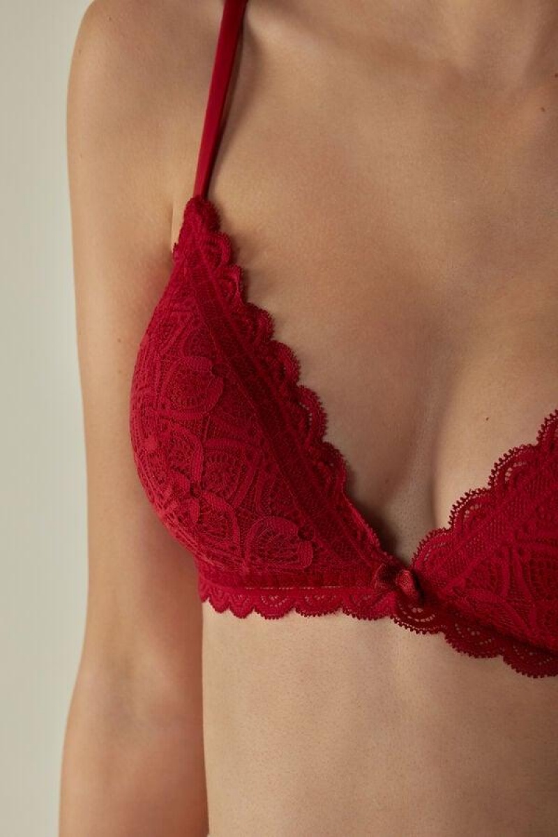 Intimissimi Tiziana Triangle in Lace Ženske Grudnjaci Crvene | HR 1399BCP