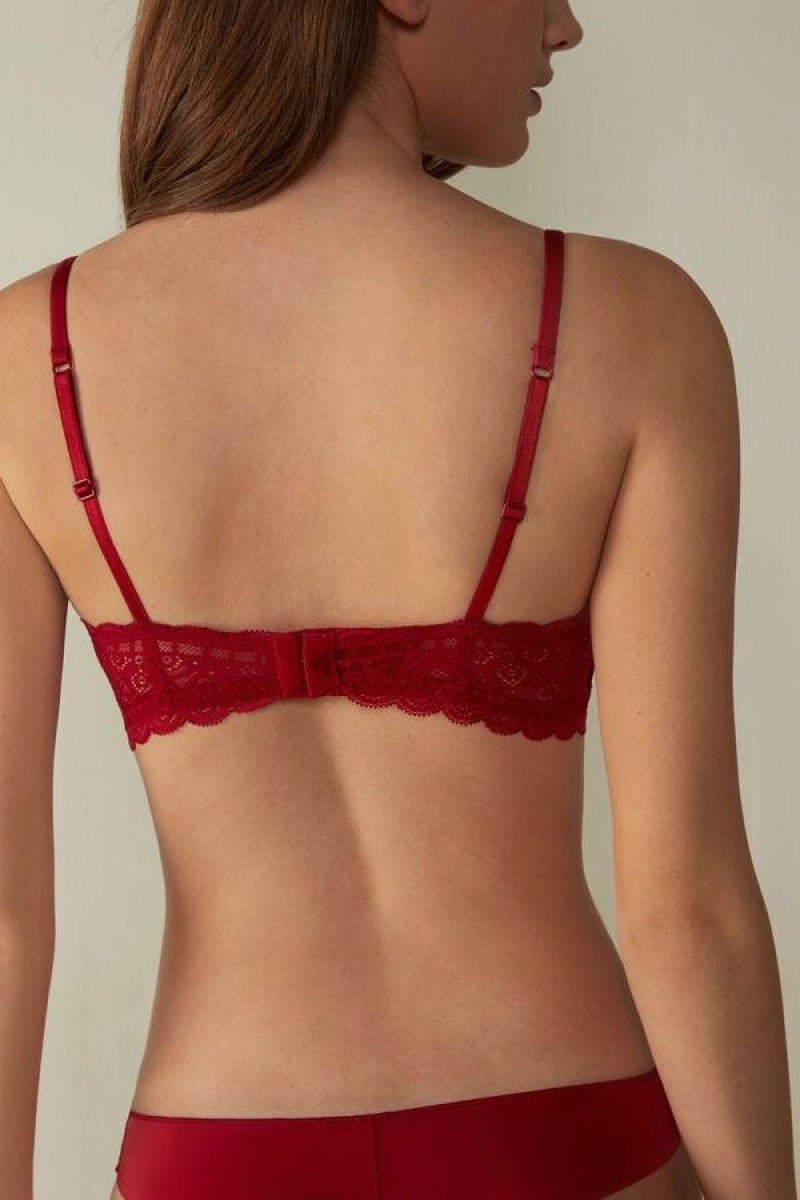 Intimissimi Tiziana Triangle in Lace Ženske Grudnjaci Crvene | HR 1399BCP